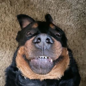 Meet your Posher, Liam